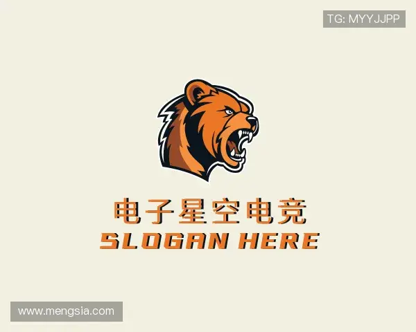 了解星空电竞官网